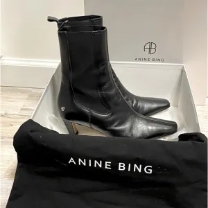 Anine Bing Nolan Boots