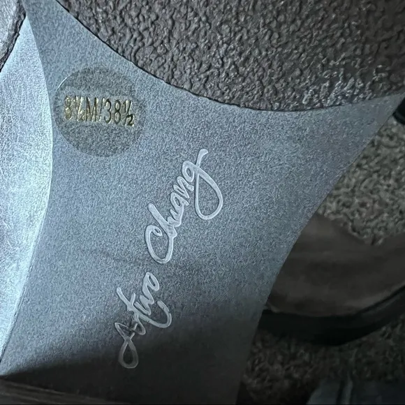 Arturo Chiang Ankle Booties
