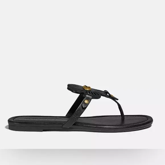 Coach Black Floral Sandals