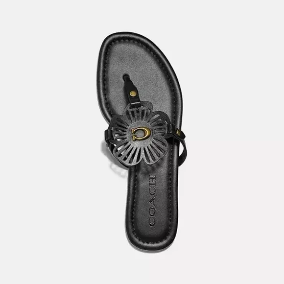 Coach Black Floral Sandals