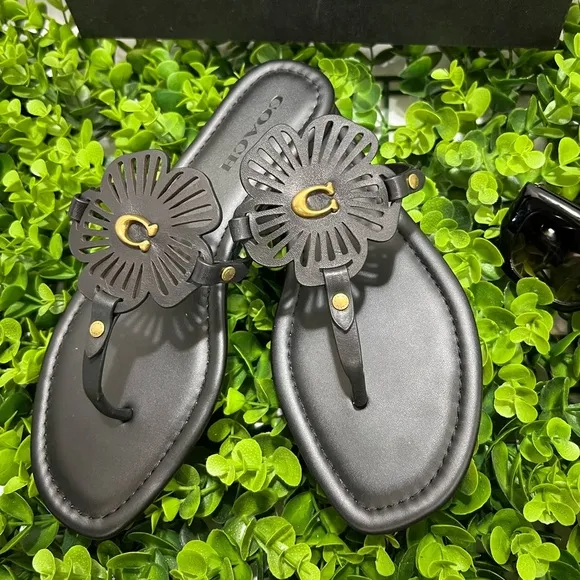 Coach Black Floral Sandals