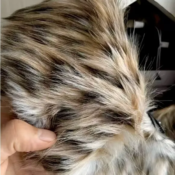 Luxe Faux Fur Leopard Print Coat