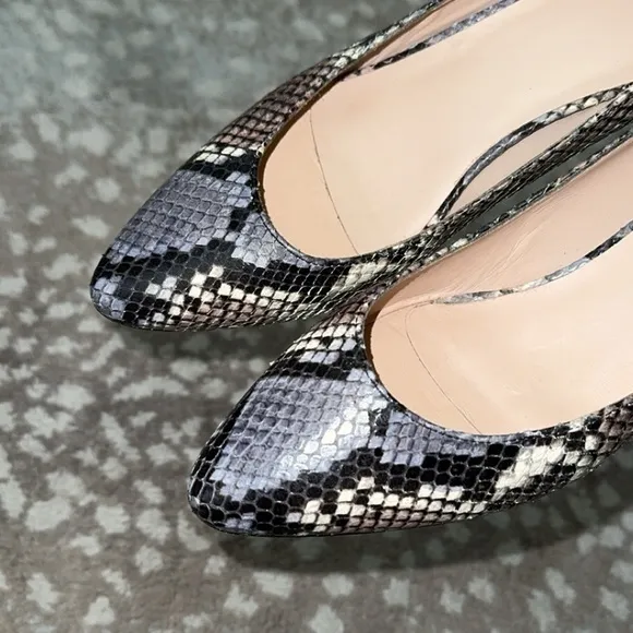 NEW Aquatalia Pasha Embossed Snake Print Pumps Block Heels‎ Size 6
