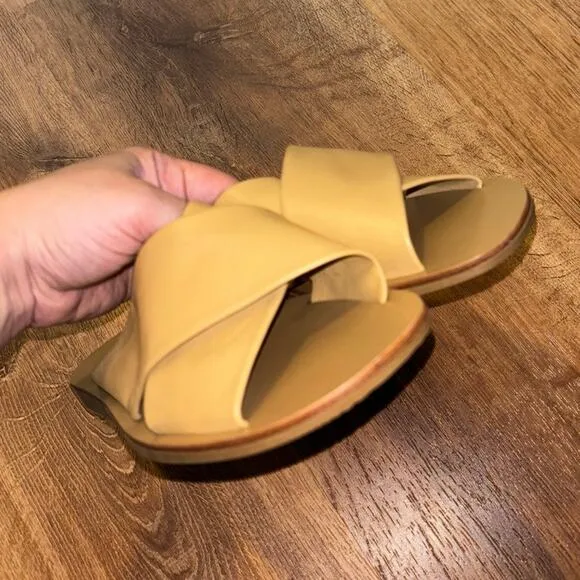 NEW Everlane The Day Leather Crossover Sandal In Sienna Brown Size 7