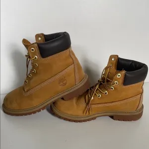 Timberland Kids Boots in Tan and Brown