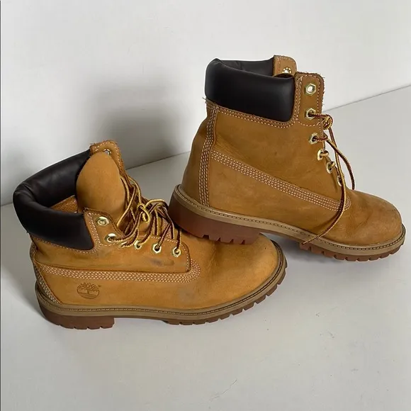 Timberland Kids Boots in Tan and Brown